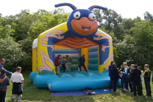 Bug Bouncer inflatable bouncy castle