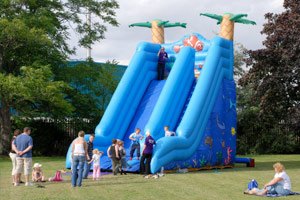 Giant Nemo inflatable Slide